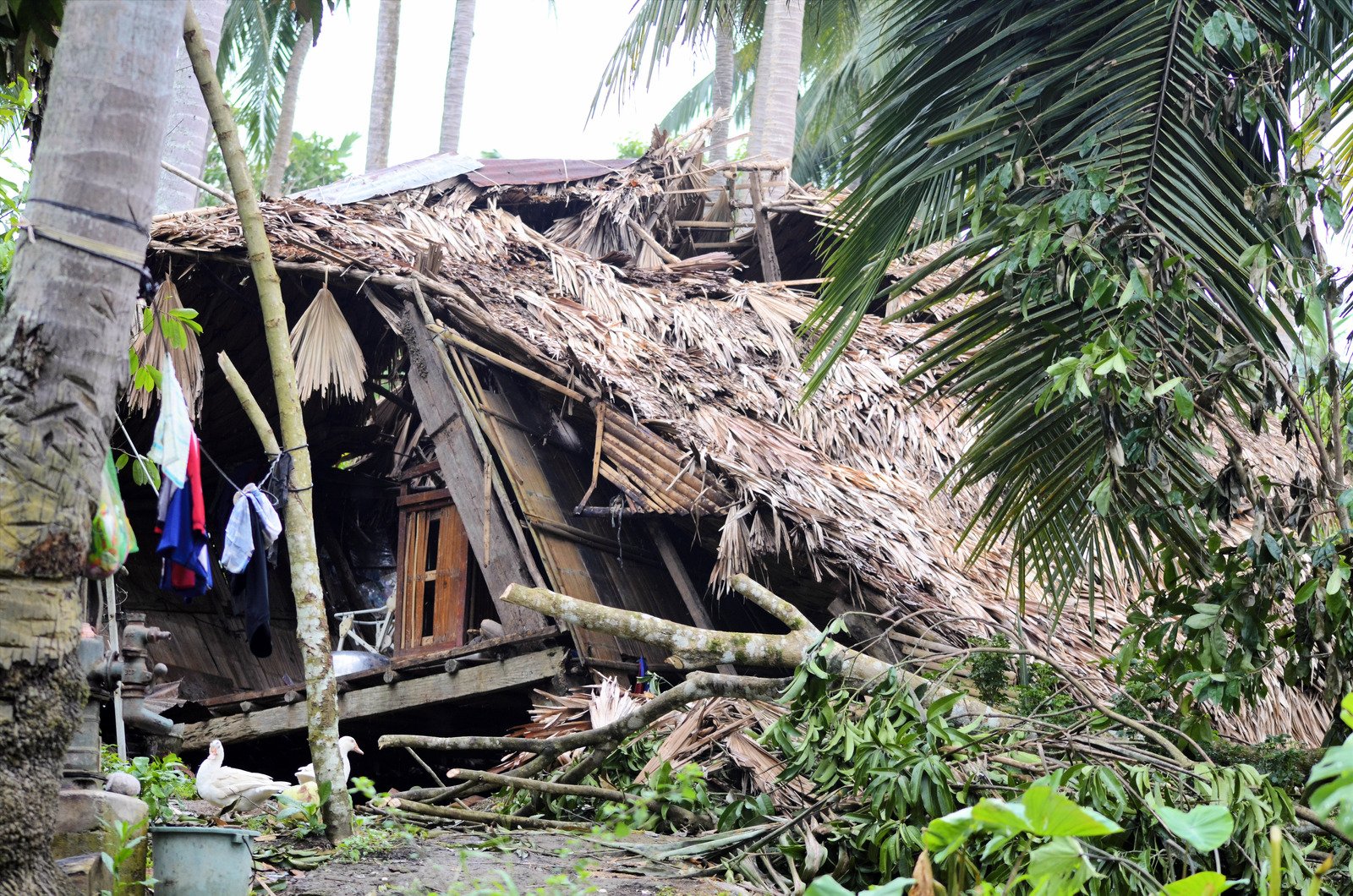 $10,000 Donation Toward the Philippine Typhoon Relief Effort