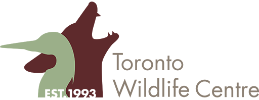 Toronto Wildlife Centre logo