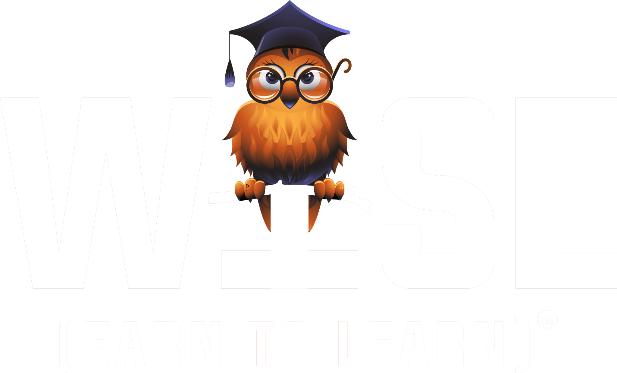 WISE Scholarship Program — Earn to Learn